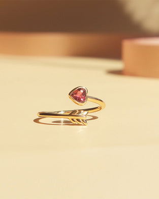 Sikt mot målet ditt â€?delt justerbar ring